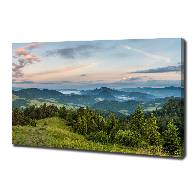 Tableau imprimé sur toile Panorama de Pieniny