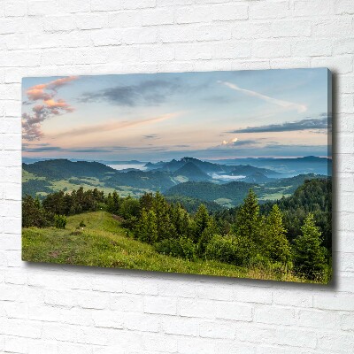 Tableau imprimé sur toile Panorama de Pieniny