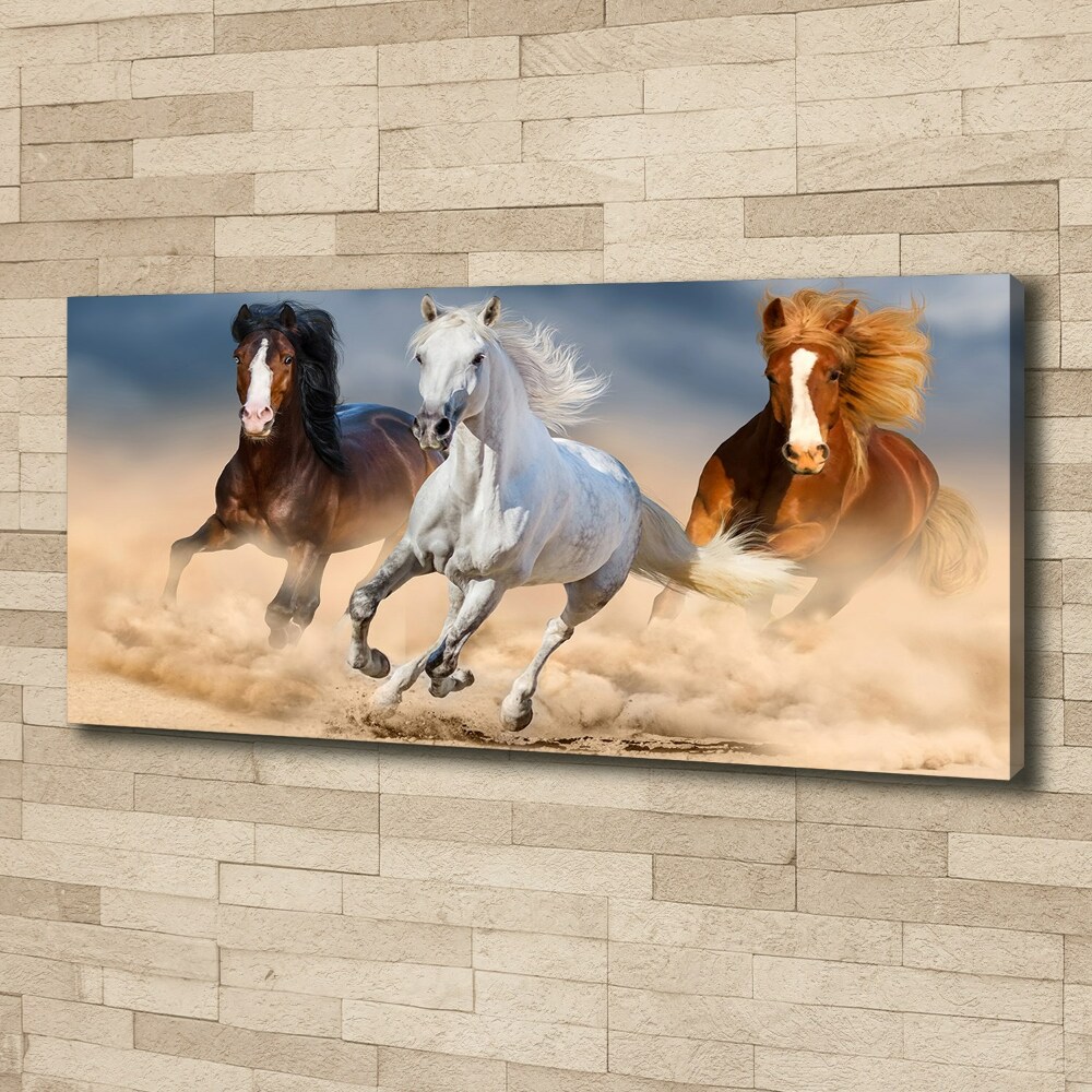 Tableau mural sur toile Chevaux dans le désert