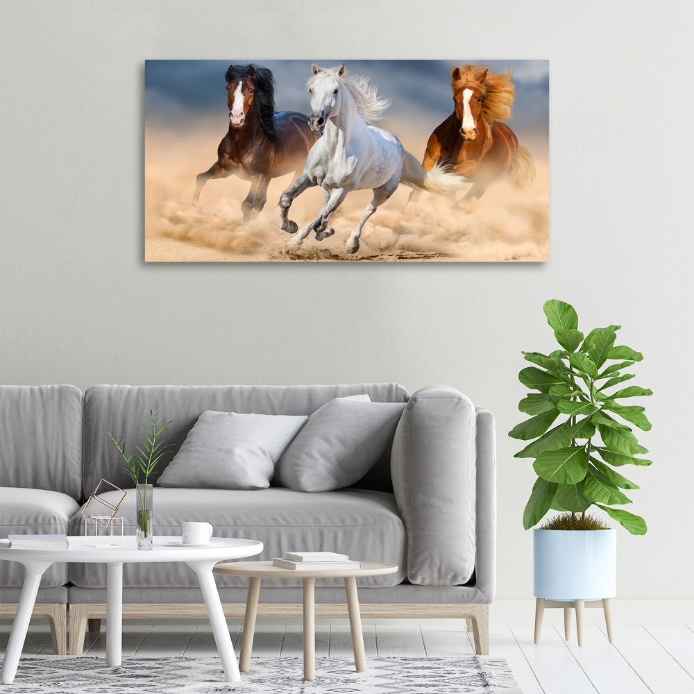 Tableau mural sur toile Chevaux dans le désert