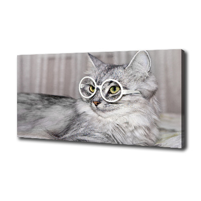 Tableau sur toile Chat en lunettes