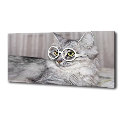 Tableau sur toile Chat en lunettes