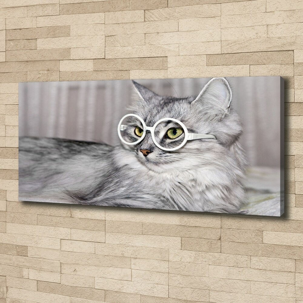 Tableau sur toile Chat en lunettes