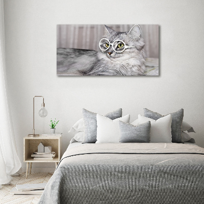 Tableau sur toile Chat en lunettes