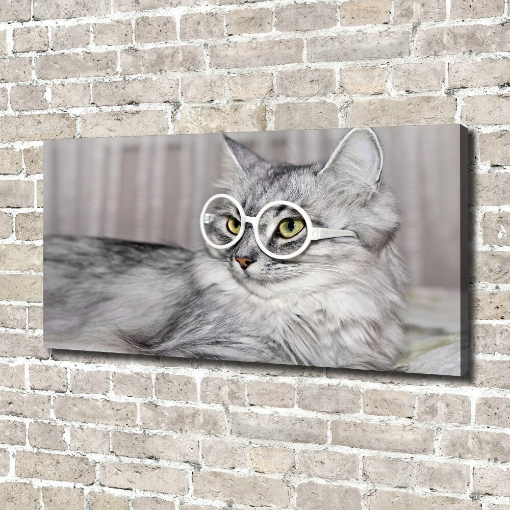 Tableau sur toile Chat en lunettes