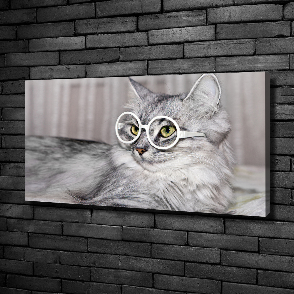 Tableau sur toile Chat en lunettes