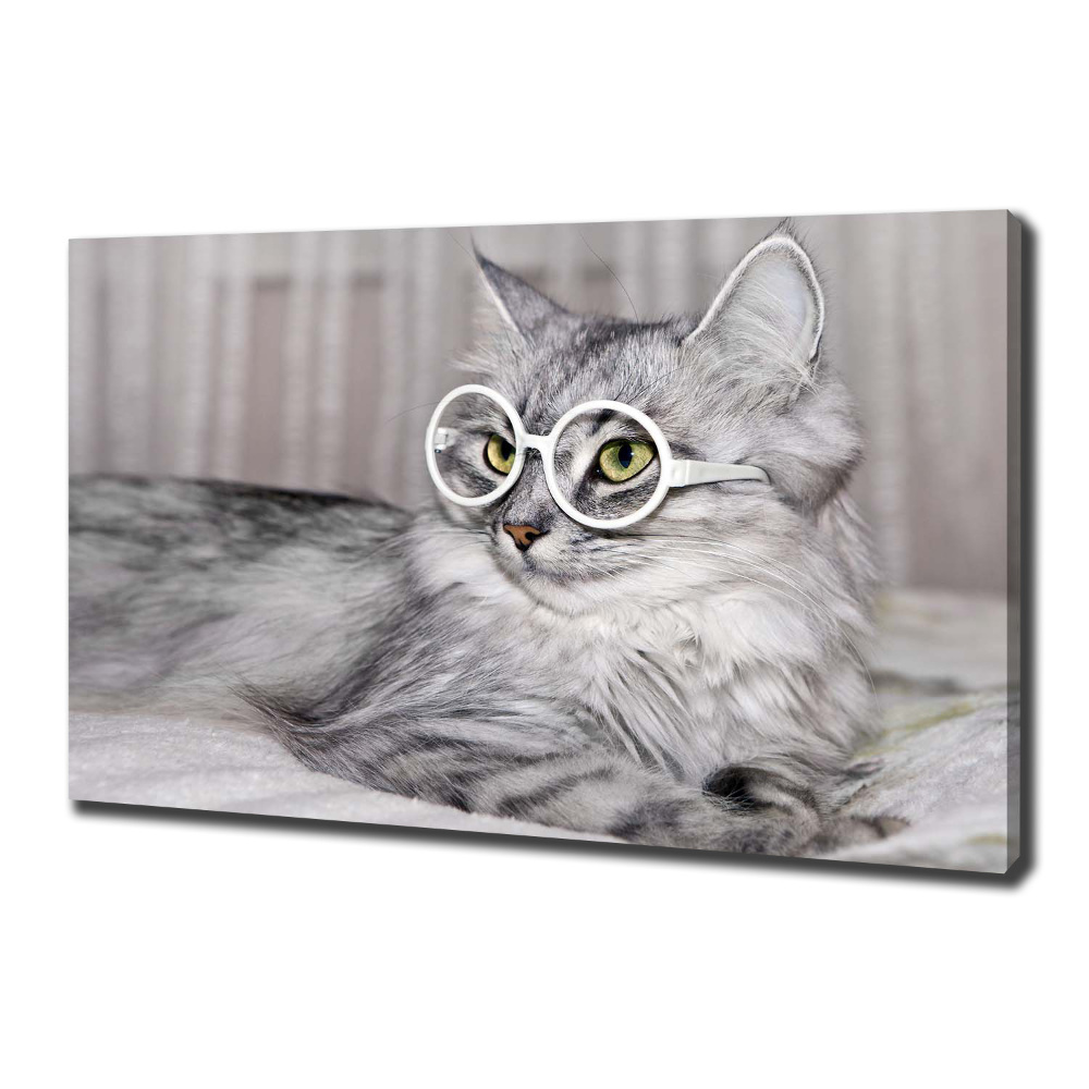 Tableau sur toile Chat en lunettes