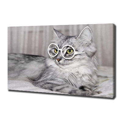 Tableau sur toile Chat en lunettes