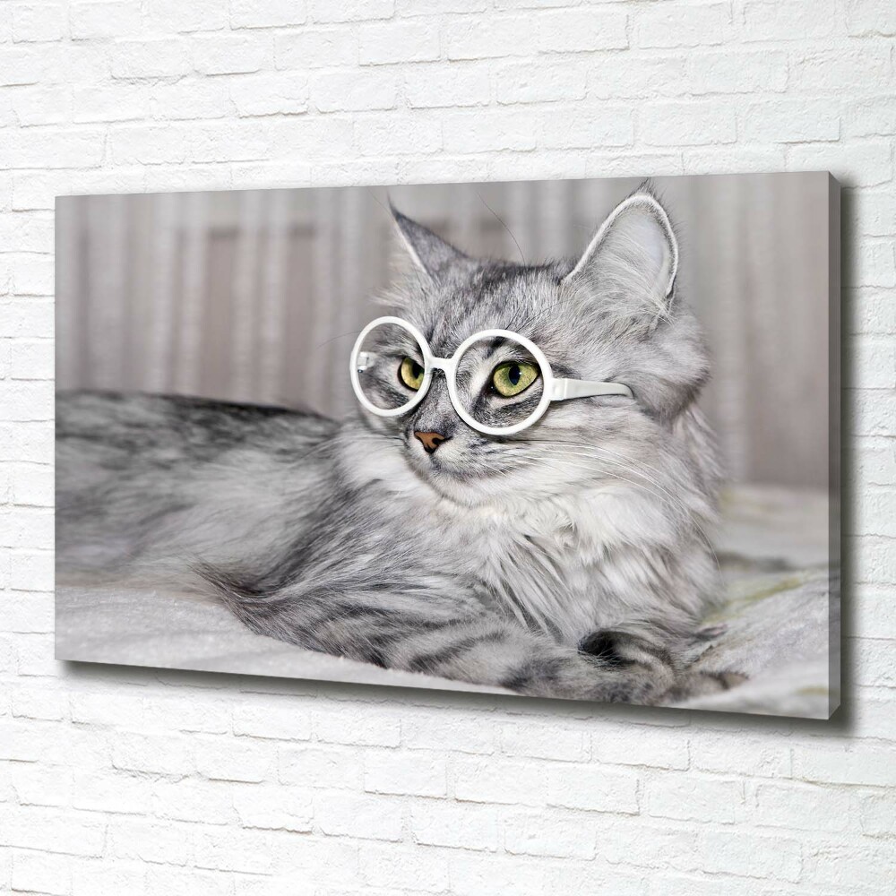 Tableau sur toile Chat en lunettes