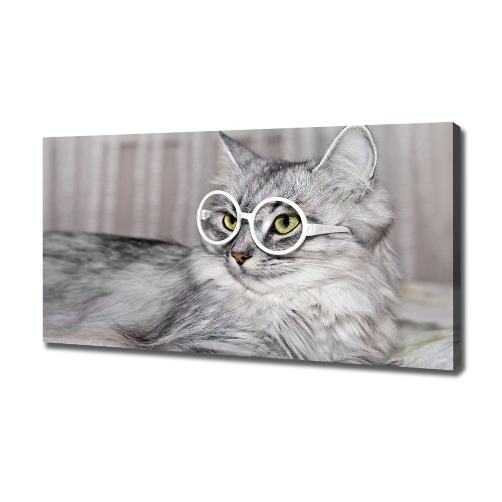 Tableau sur toile Chat en lunettes