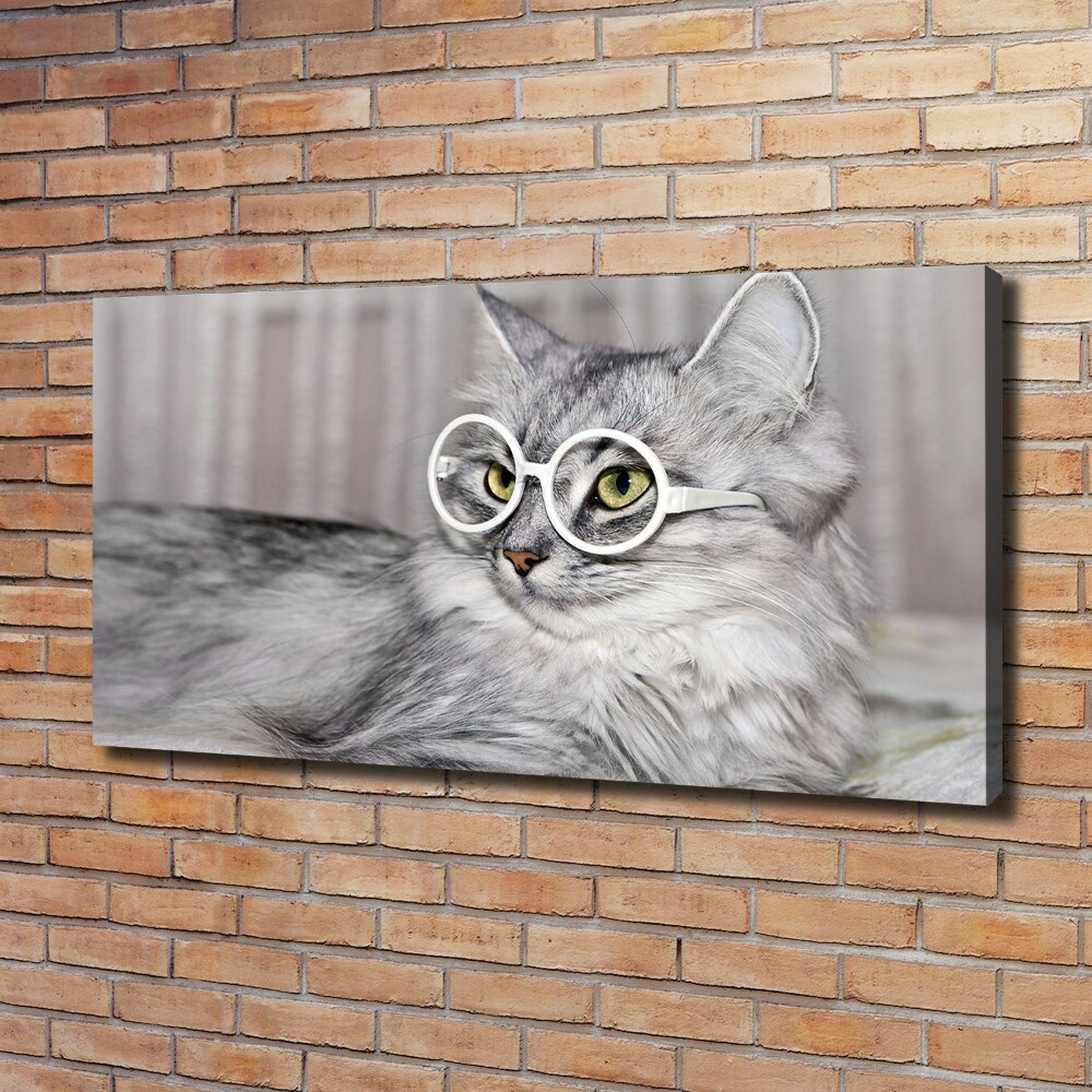 Tableau sur toile Chat en lunettes