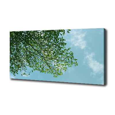 Tableau photo sur toile Feuilles dans le ciel