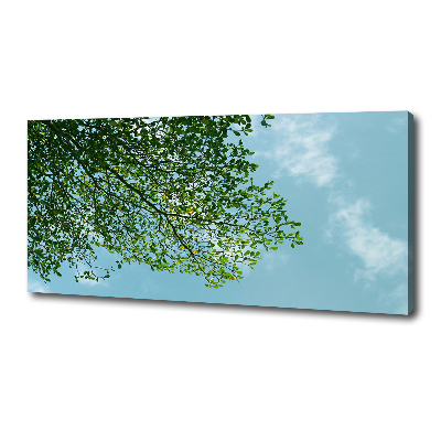 Tableau photo sur toile Feuilles dans le ciel