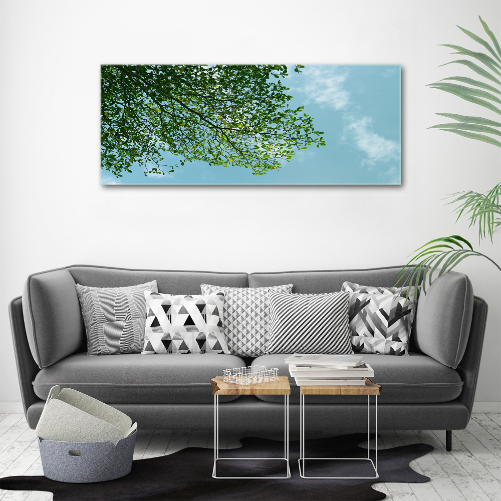 Tableau photo sur toile Feuilles dans le ciel