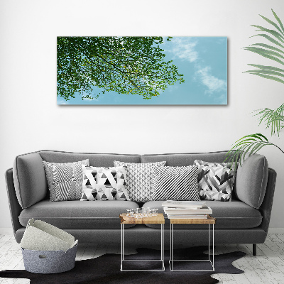 Tableau photo sur toile Feuilles dans le ciel