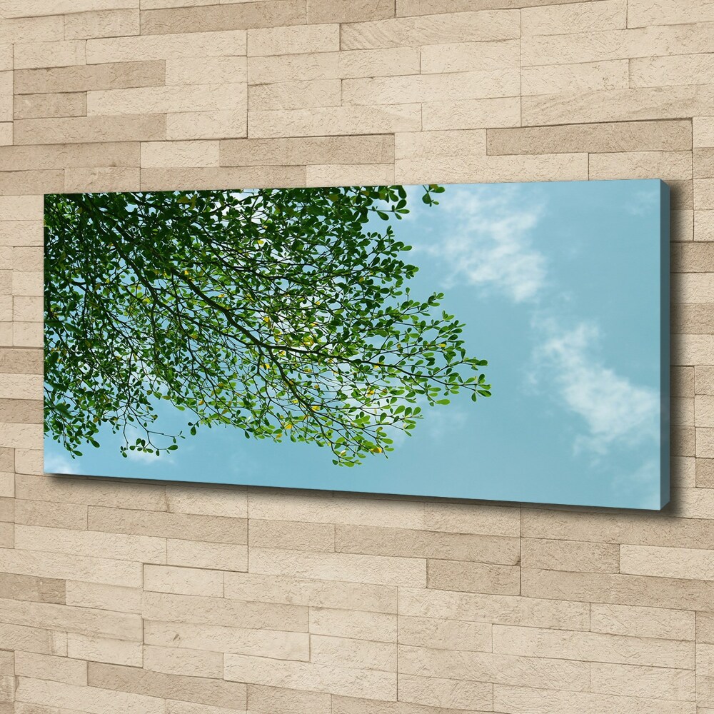 Tableau photo sur toile Feuilles dans le ciel