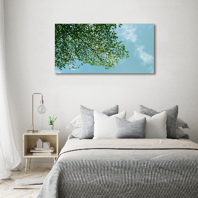 Tableau photo sur toile Feuilles dans le ciel