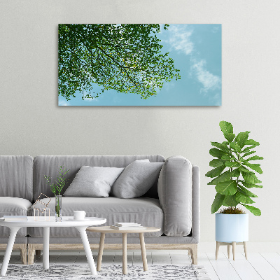 Tableau photo sur toile Feuilles dans le ciel