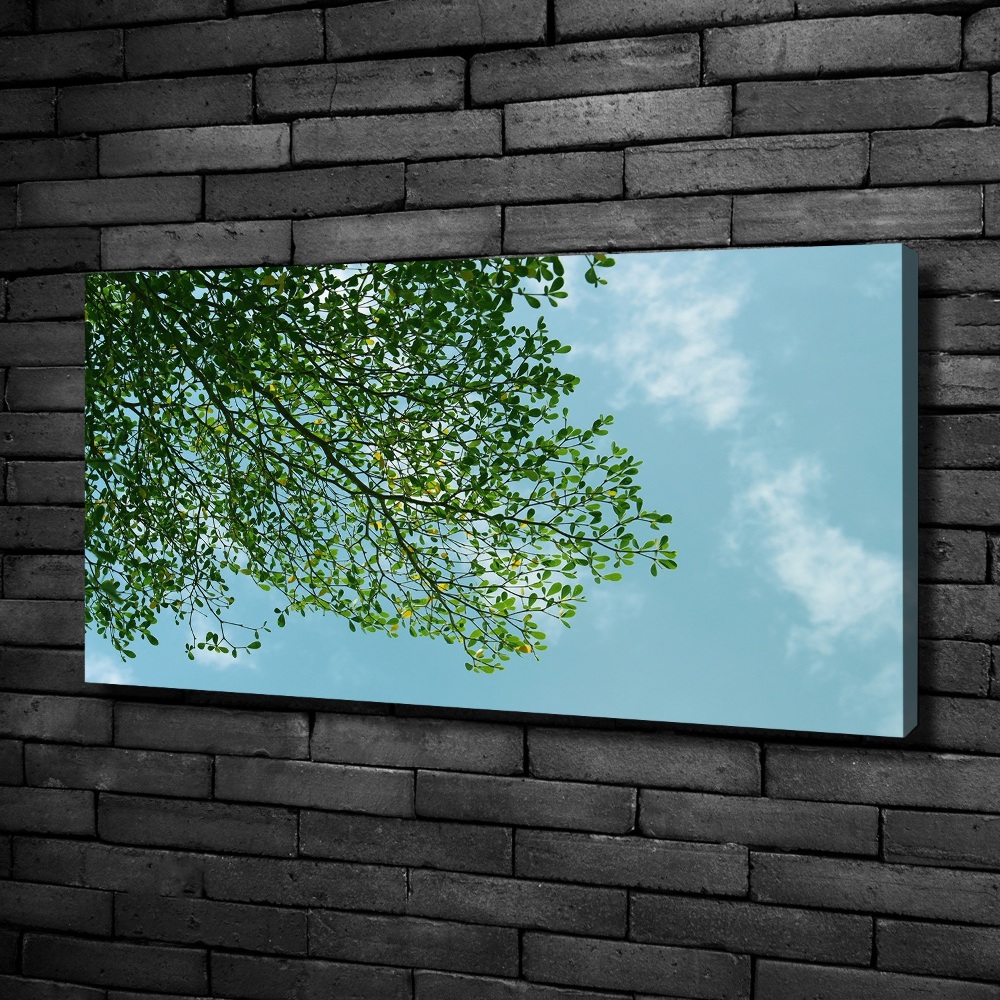 Tableau photo sur toile Feuilles dans le ciel