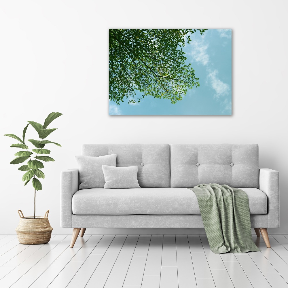 Tableau photo sur toile Feuilles dans le ciel