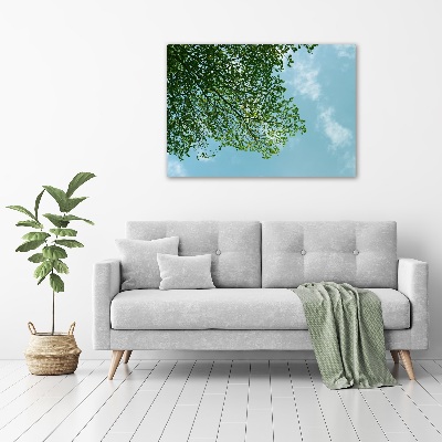 Tableau photo sur toile Feuilles dans le ciel