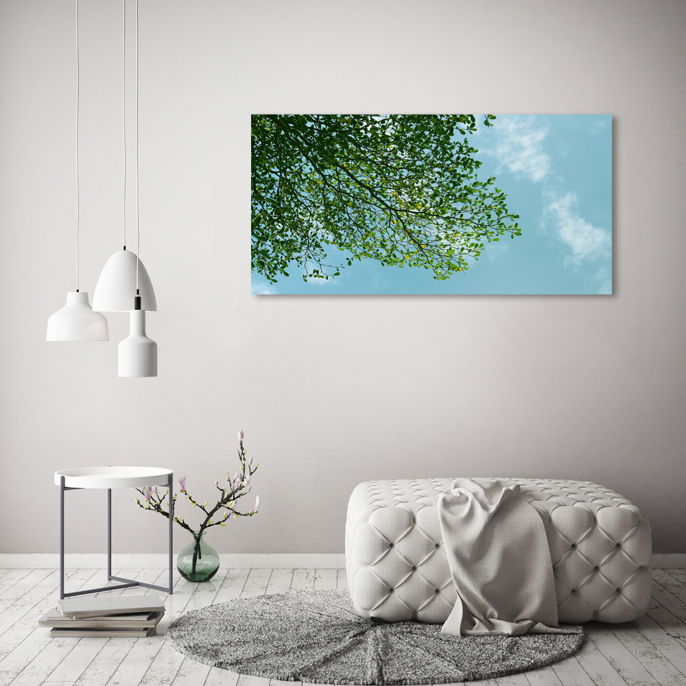 Tableau photo sur toile Feuilles dans le ciel