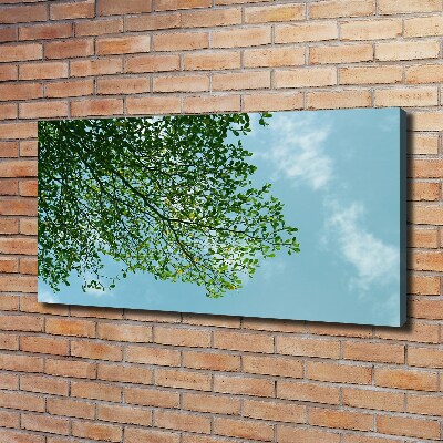 Tableau photo sur toile Feuilles dans le ciel