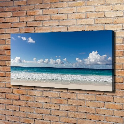 Tableau sur toile Plage dans les Seychelles