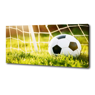 Tableau sur toile Football dans les portes