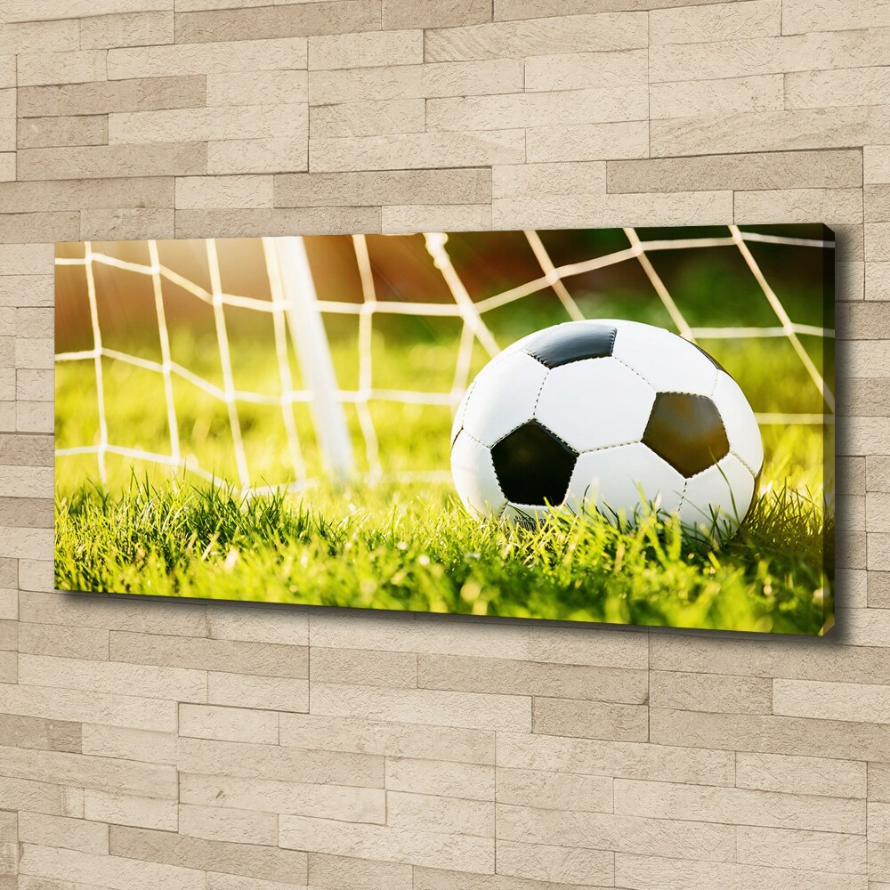 Tableau sur toile Football dans les portes