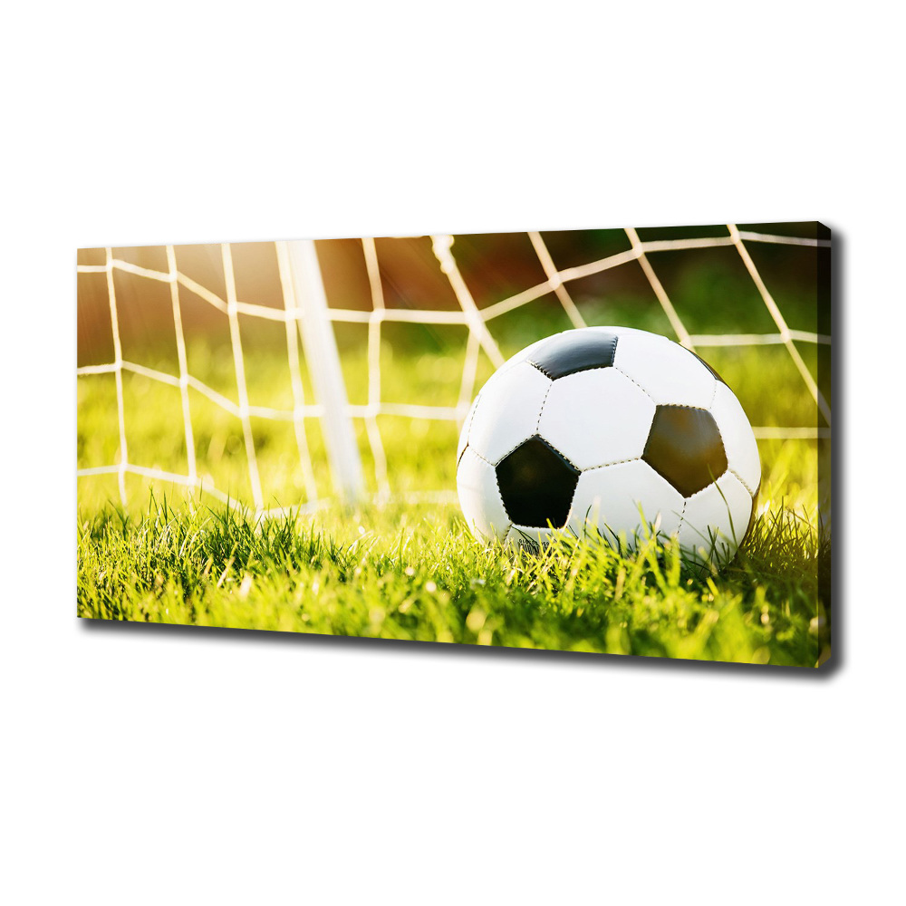 Tableau sur toile Football dans les portes