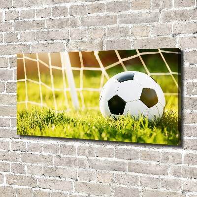 Tableau sur toile Football dans les portes