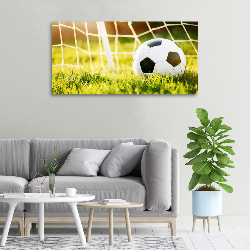 Tableau sur toile Football dans les portes