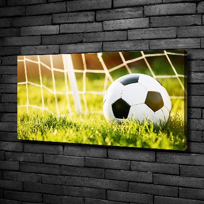 Tableau sur toile Football dans les portes