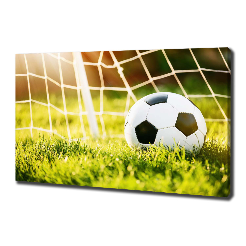 Tableau sur toile Football dans les portes