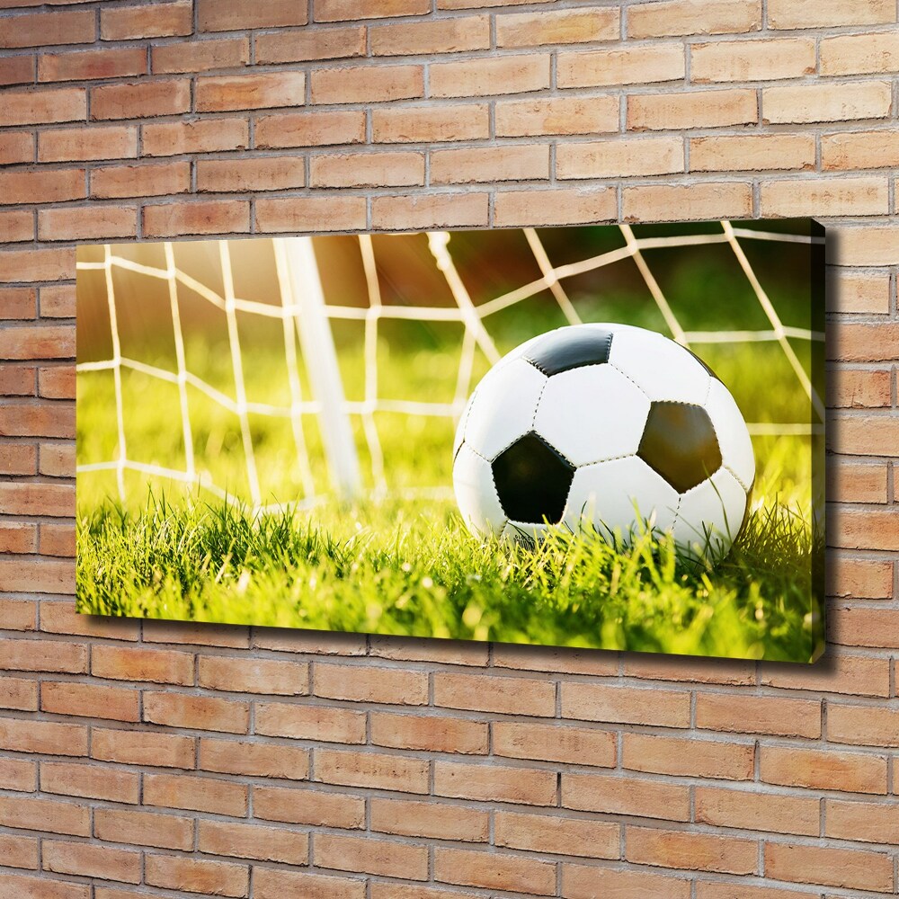 Tableau sur toile Football dans les portes