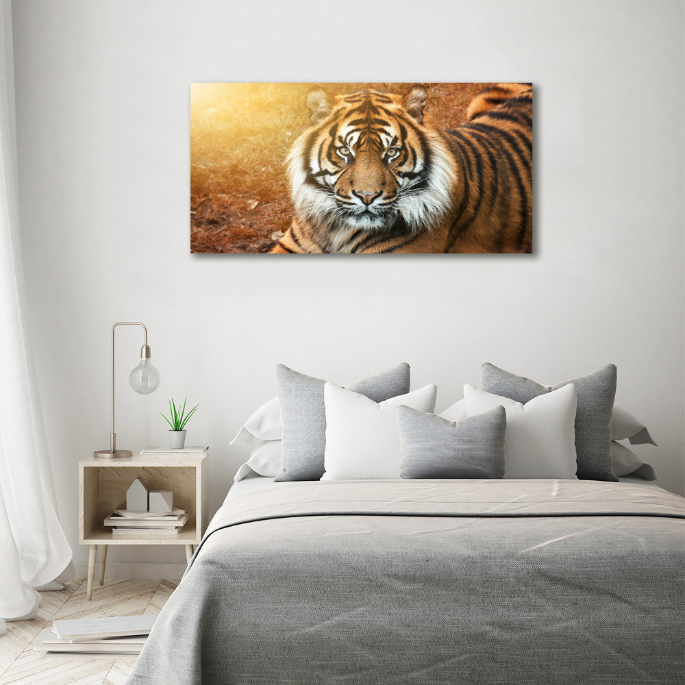 Tableau imprimé sur toile Tigre du Bengale