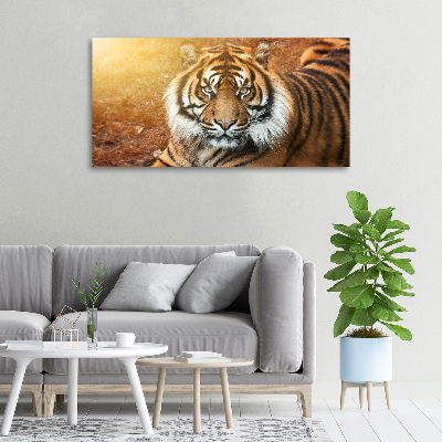 Tableau imprimé sur toile Tigre du Bengale