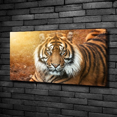 Tableau imprimé sur toile Tigre du Bengale