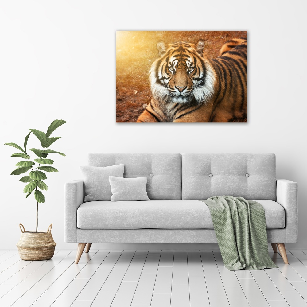 Tableau imprimé sur toile Tigre du Bengale