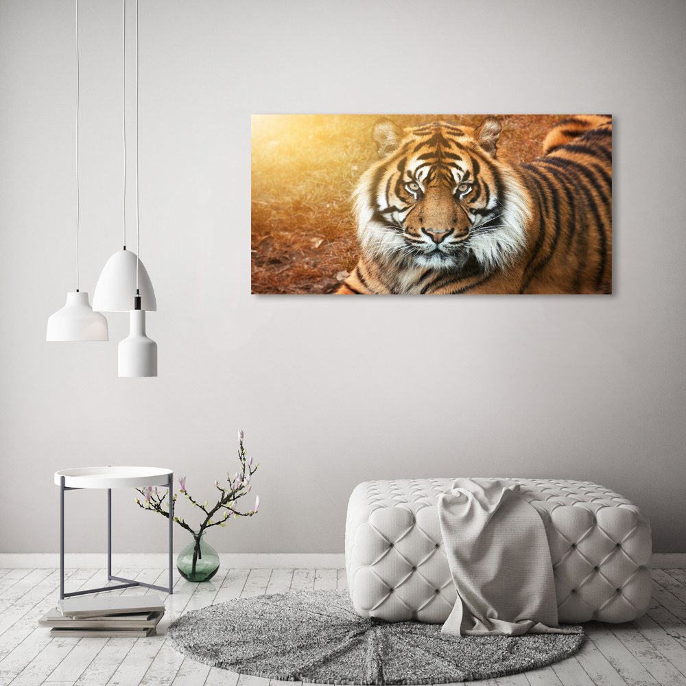 Tableau imprimé sur toile Tigre du Bengale