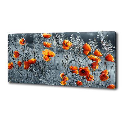 Tableau imprimé sur toile Coquelicot des champs