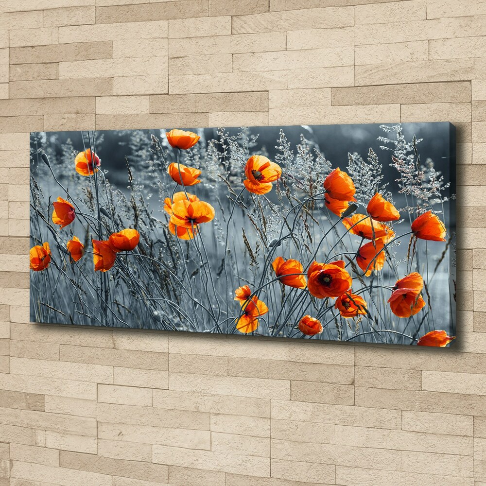 Tableau imprimé sur toile Coquelicot des champs