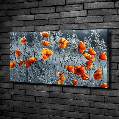 Tableau imprimé sur toile Coquelicot des champs