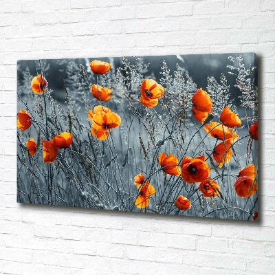 Tableau imprimé sur toile Coquelicot des champs