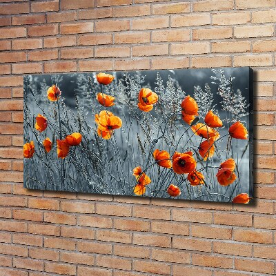 Tableau imprimé sur toile Coquelicot des champs