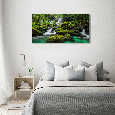 Tableau sur toile Chute d'eau dans la forêt mousse