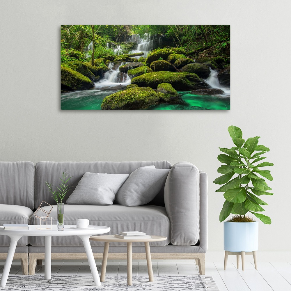 Tableau sur toile Chute d'eau dans la forêt mousse