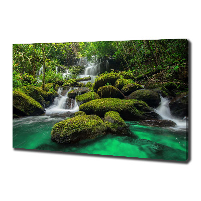 Tableau sur toile Chute d'eau dans la forêt mousse