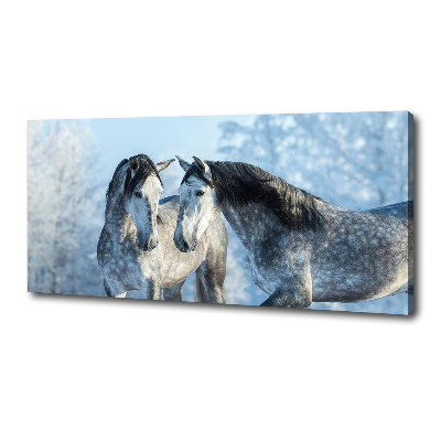 Tableau mural sur toile Chevaux gris en hiver